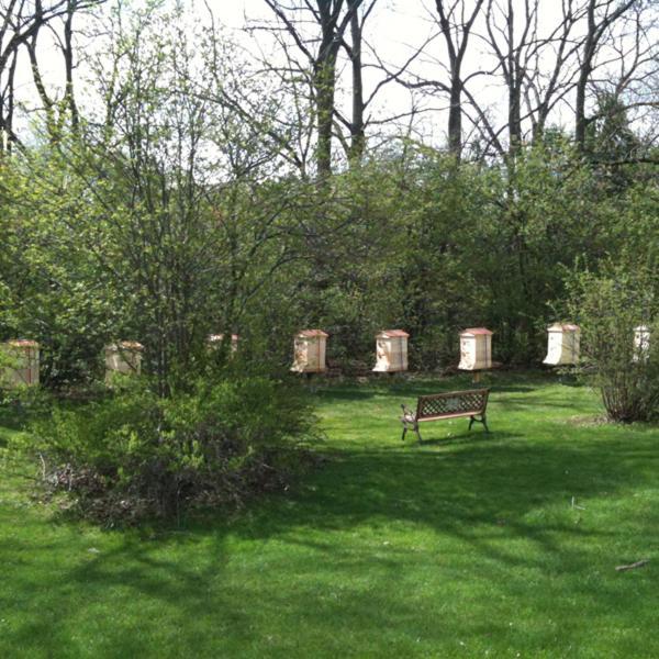The Windermere Manor Hotel & Conference Center London Kültér fotó
